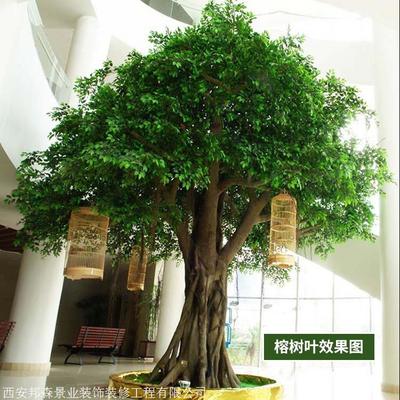 仿真榕樹廠家 批發(fā)制作各種仿真榕樹 免費(fèi)仿真樹設(shè)計(jì)