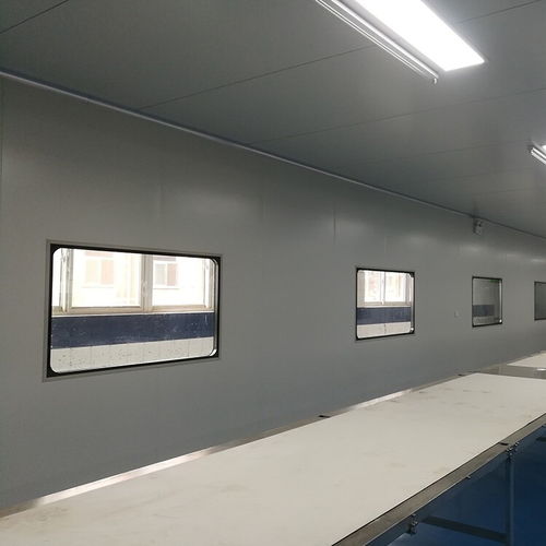 山東聊城食品廠食品廠無(wú)塵車間