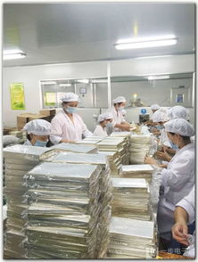 廣州化妝品廠裝修公司 廣州化妝品廠凈化裝修公司 供應(yīng)廣州化妝品廠裝修公司 廣州化妝品廠凈化裝修公司